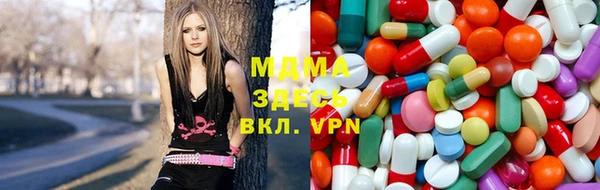 прущие грибы Алексеевка