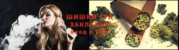 тгк Алзамай