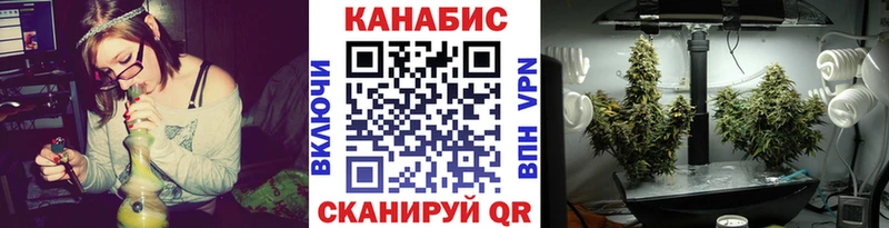 Бошки Шишки Amnesia  цены наркотик  Котовск 